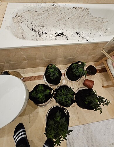 Growreport Bild 2