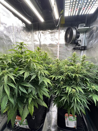Growreport Bild 19