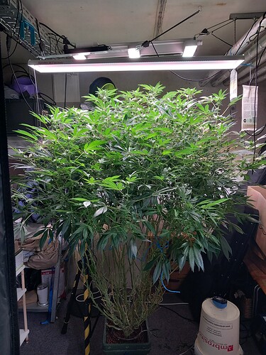 Growreport Bild 24