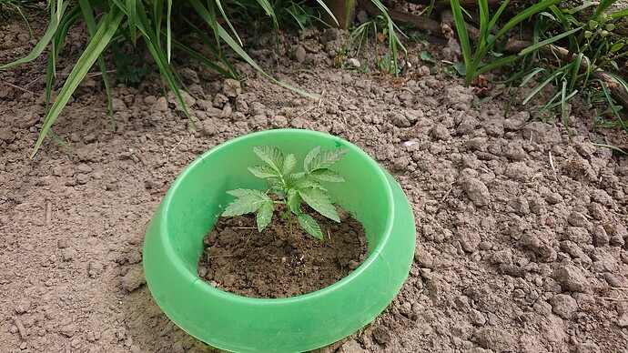 Growreport Bild 28
