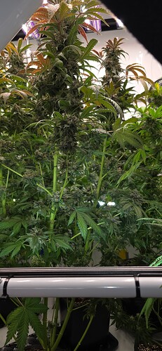Growreport Bild 18