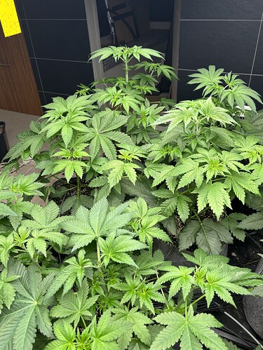 Growreport Bild 22