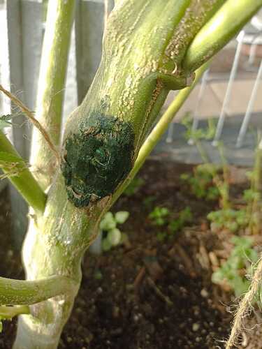 Growreport Bild 5