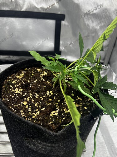 Growreport Bild 13