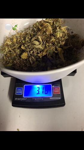 Growreport Bild 4