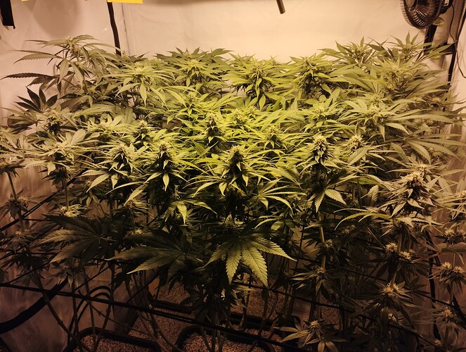 Growreport Bild 10