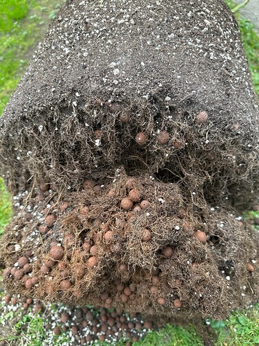 Growreport Bild 5