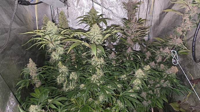 Growreport Bild 20