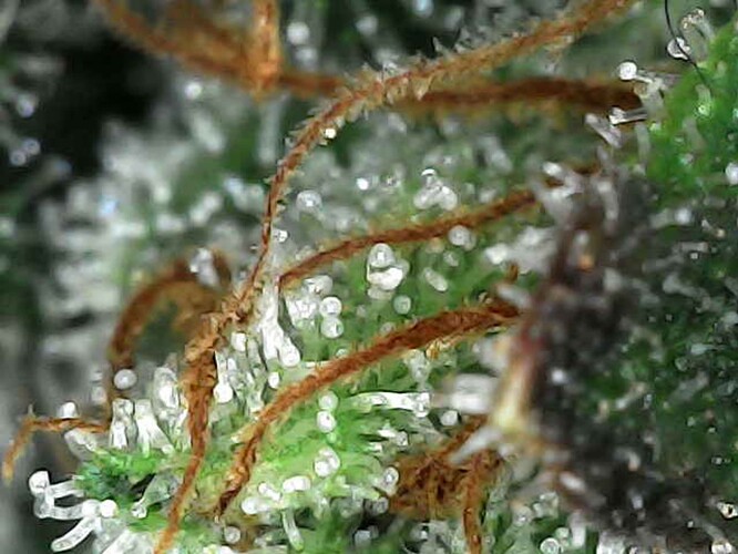 Growreport Bild 18