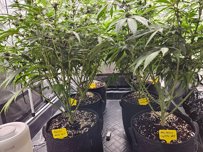 Growreport Bild 20