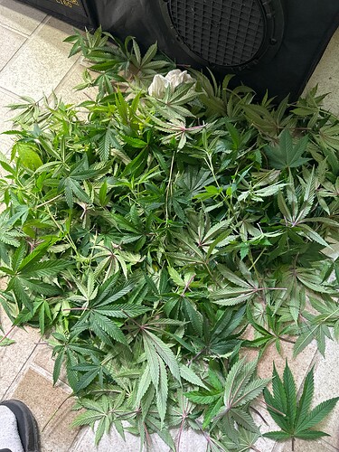 Growreport Bild 44