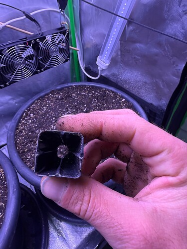 IMG_3652