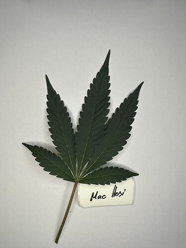 Growreport Bild 10