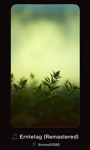 Growreport Bild 7