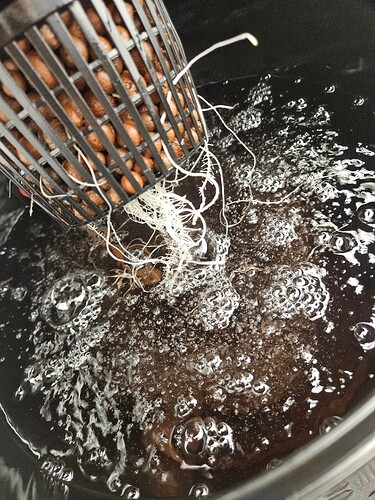 Growreport Bild 38