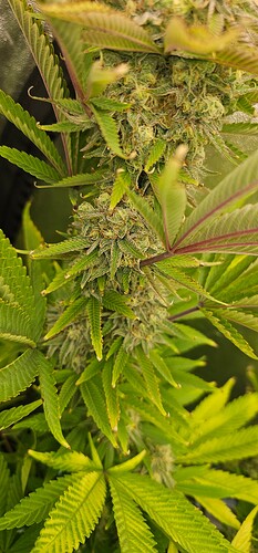 Growreport Bild 10