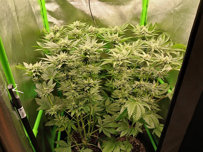 Growreport Bild 10