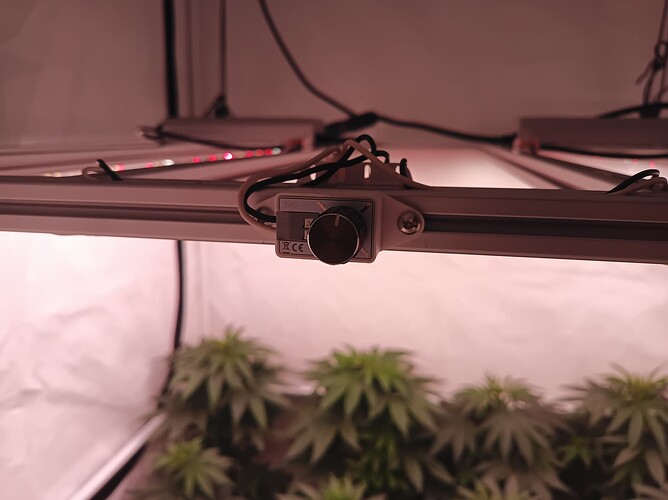 Growreport Bild 21