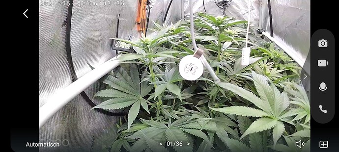 Growreport Bild 22