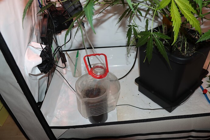Growreport Bild 2