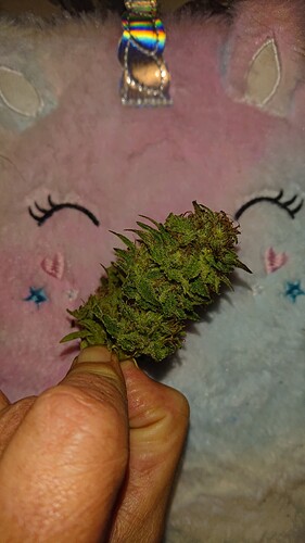 Growreport Bild 30