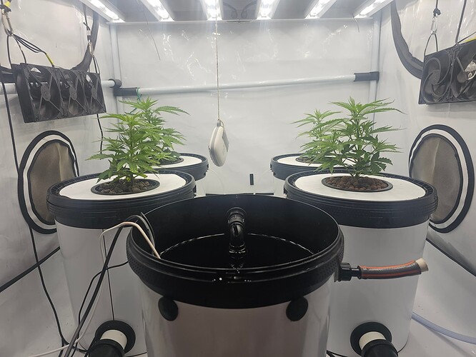 Growreport Bild 10