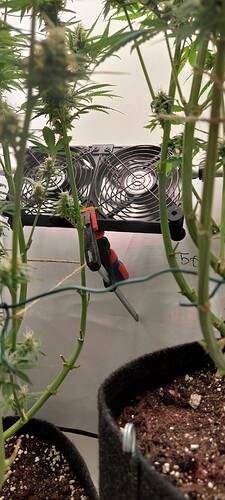 Growreport Bild 4