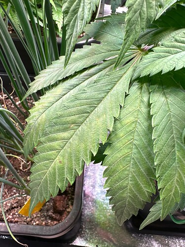 Growreport Bild 30