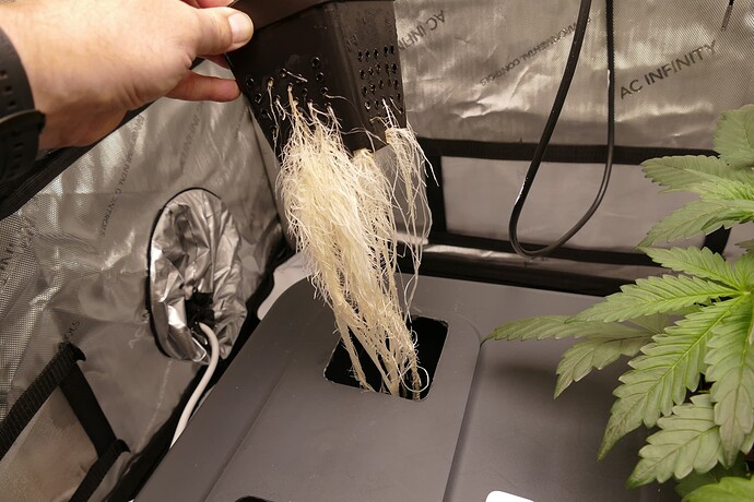 Growreport Bild 2