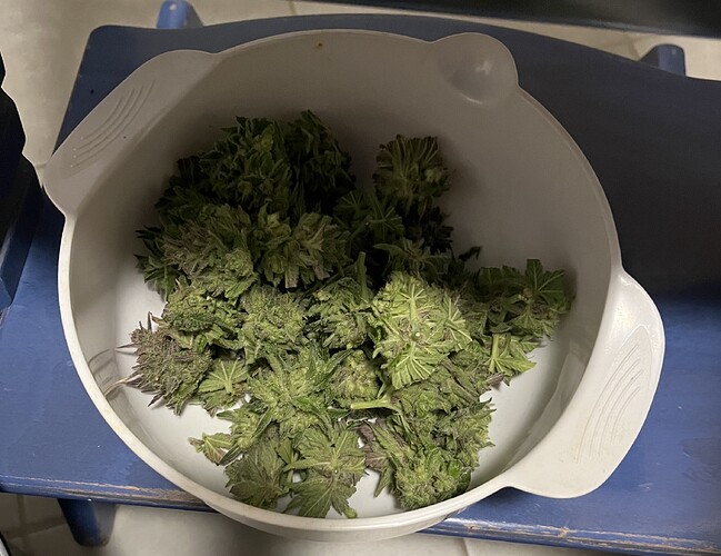 Growreport Bild 14