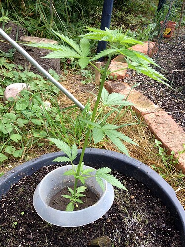 Growreport Bild 12