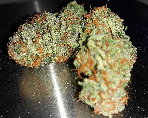 Growreport Bild 8