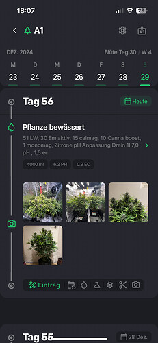 Growreport Bild 10