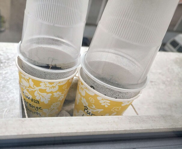 Growreport Bild 1