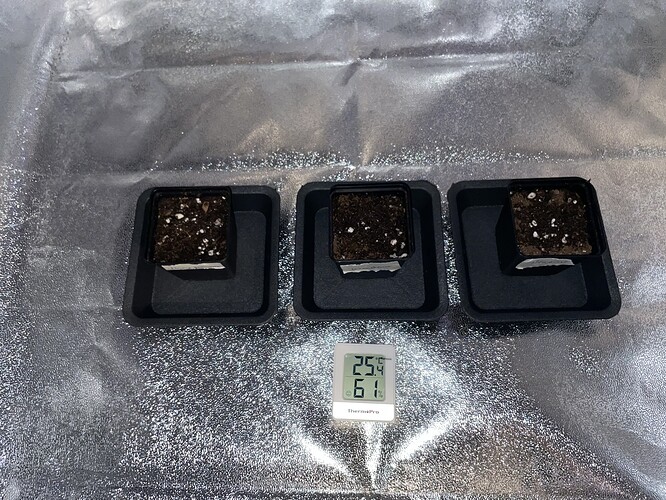 Growreport Bild 1