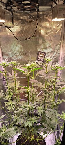 Growreport Bild 9