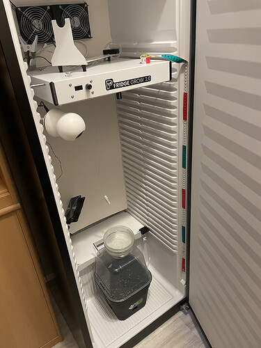 Samen in Küchenrolle