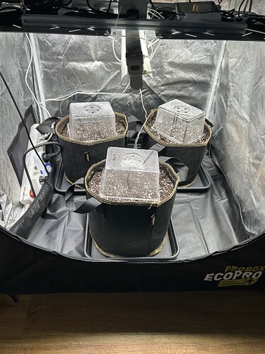 Growreport Bild 3