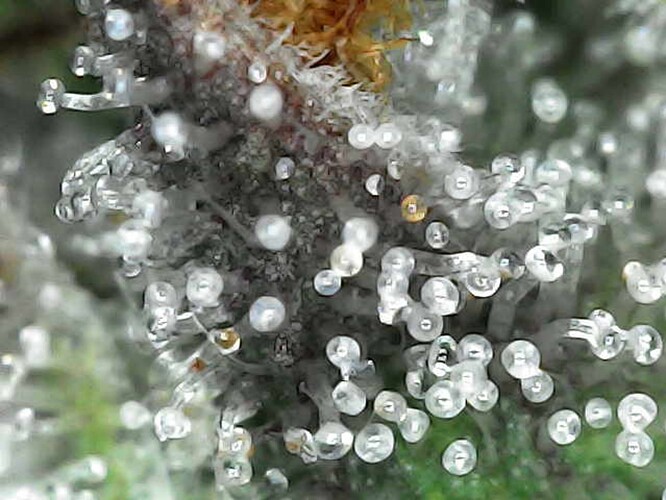 Photo_2025-04-28 16_26_56_943