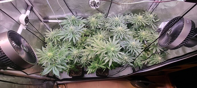 Growreport Bild 10
