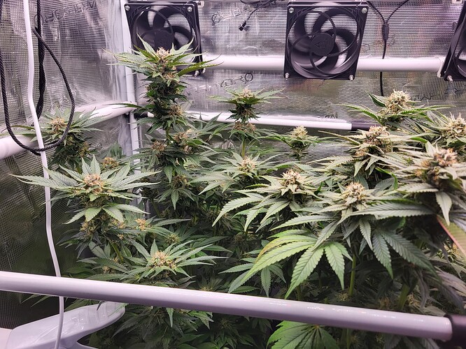 Growreport Bild 4