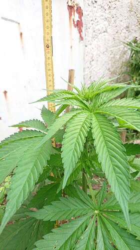 Growreport Bild 11