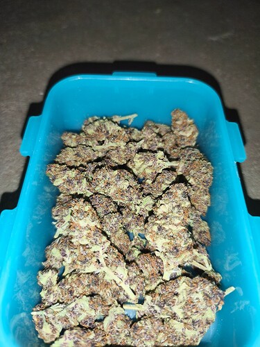 Growreport Bild 3