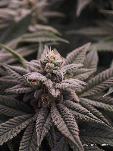Growreport Bild 16