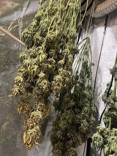 Growreport Bild 9
