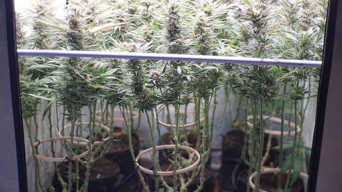 Growreport Bild 2