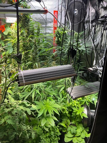 Growreport Bild 15