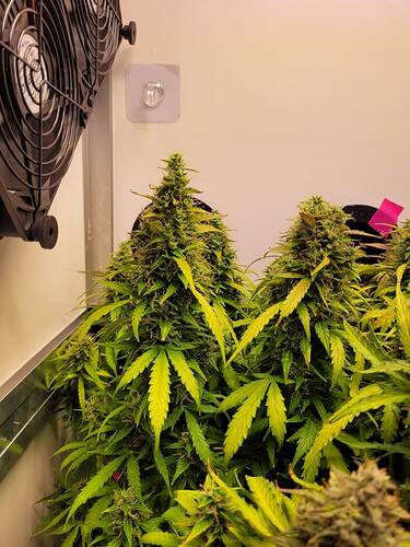 Growreport Bild 18