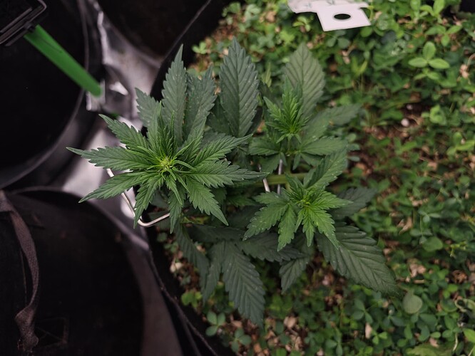 Growreport Bild 18