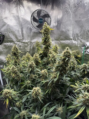 Growreport Bild 15